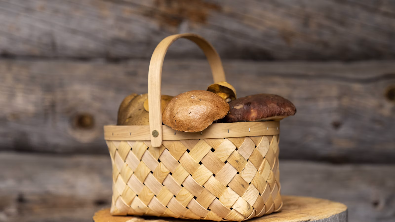 Basket of fresh edible mushrooms ready for cooking