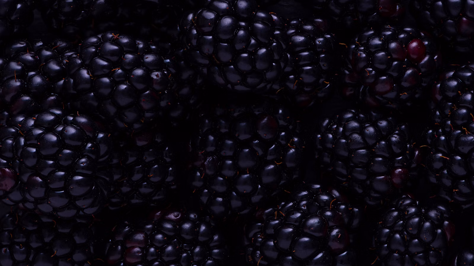 Dark cane berries illustrating boysenberry texture