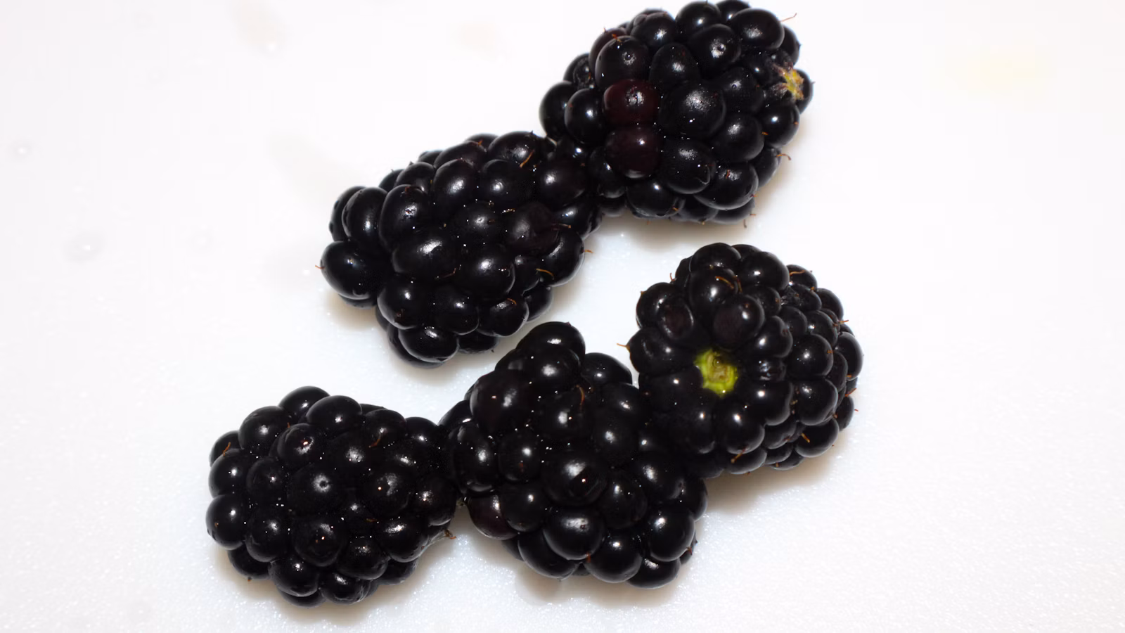 Shiny dark berries gathered together
