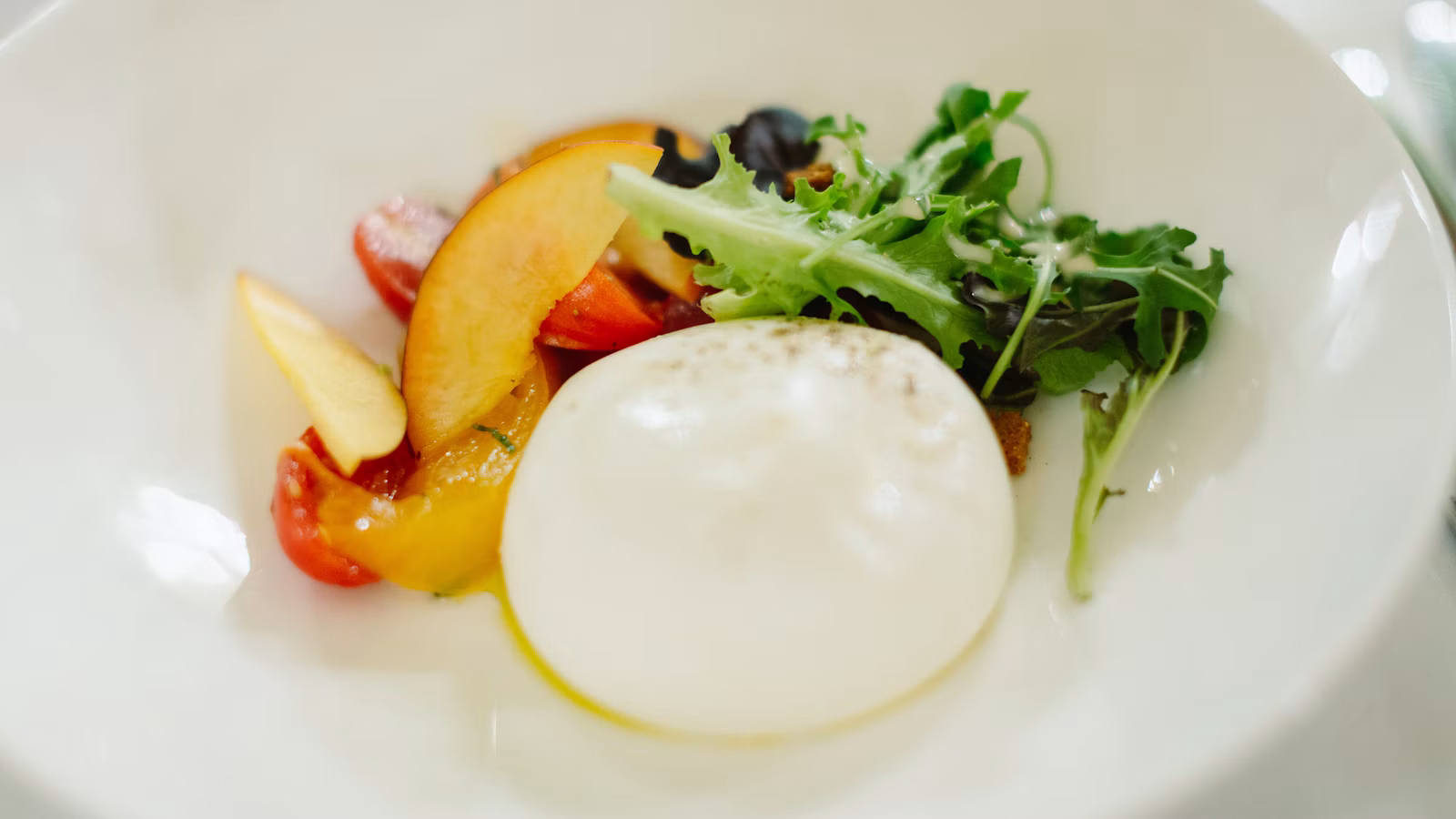 Fresh burrata arranged as a starter