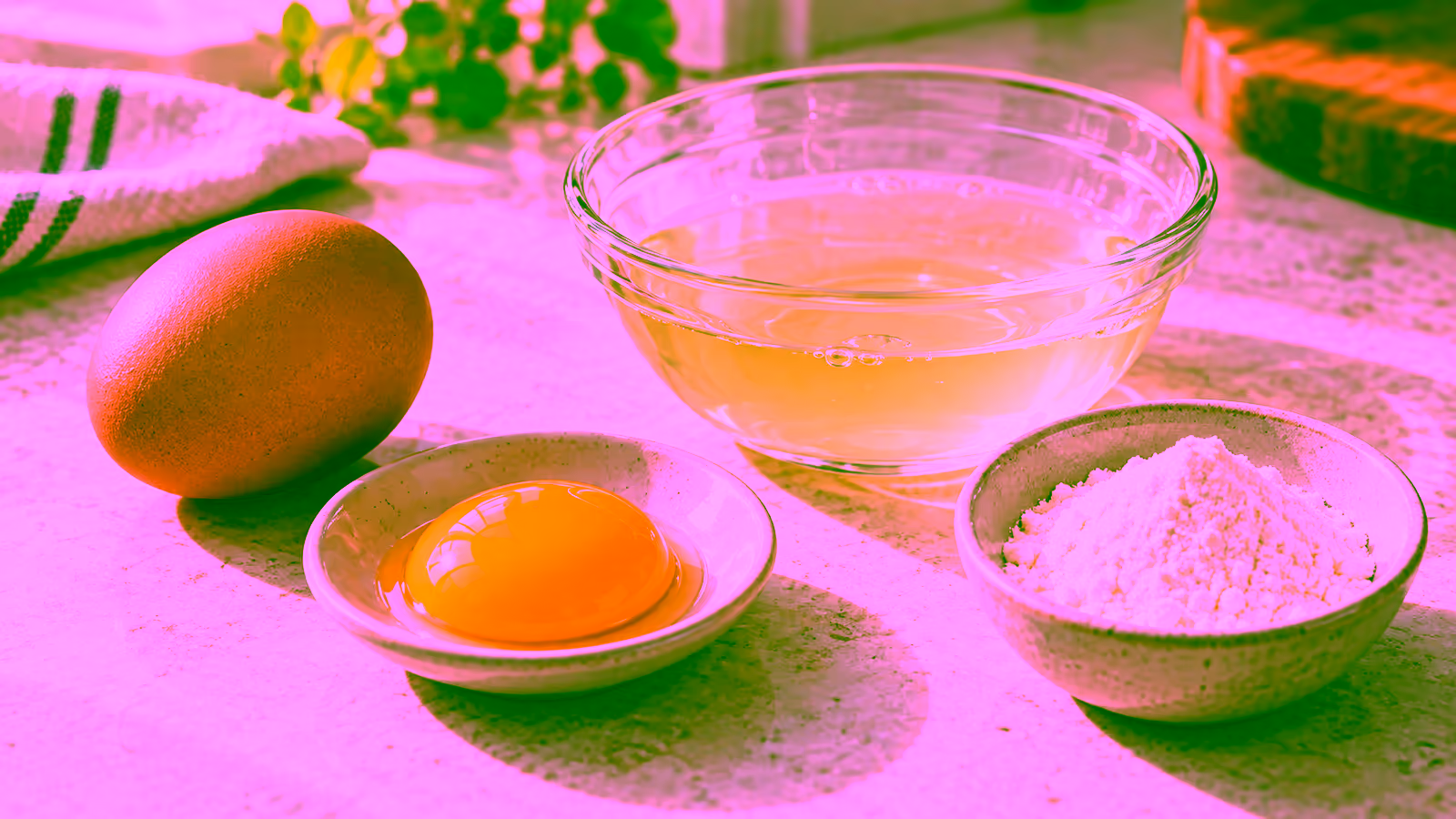 A whole egg, separated yolk and egg white, and dried egg-white powder arranged for comparison