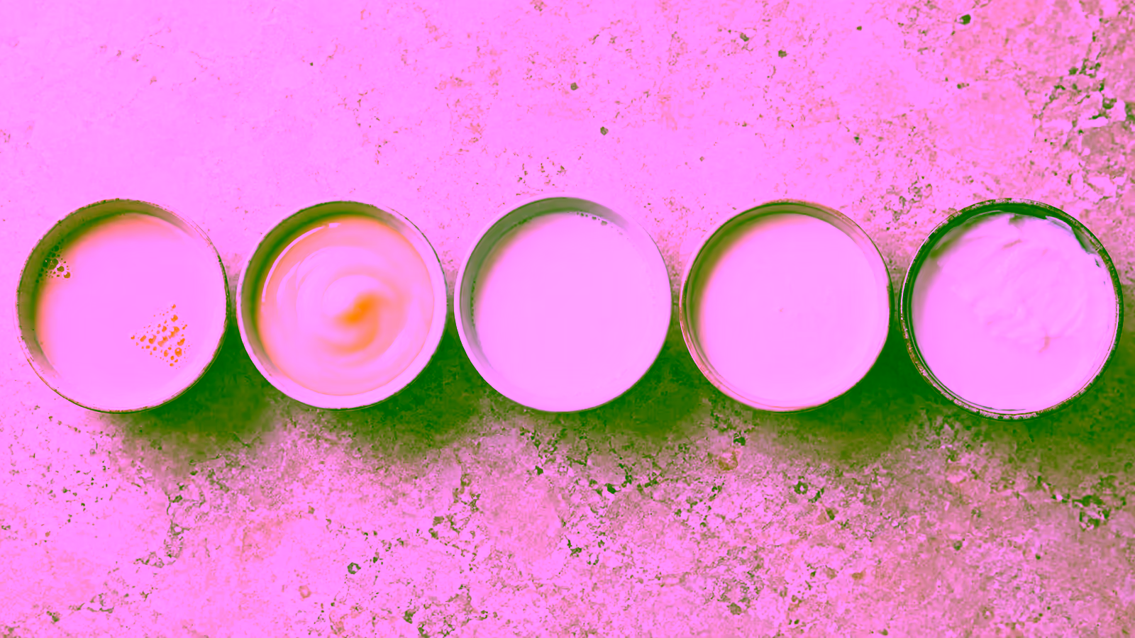 Unbranded bowls of evaporated milk, condensed milk, regular milk, cream, and coconut milk for comparison