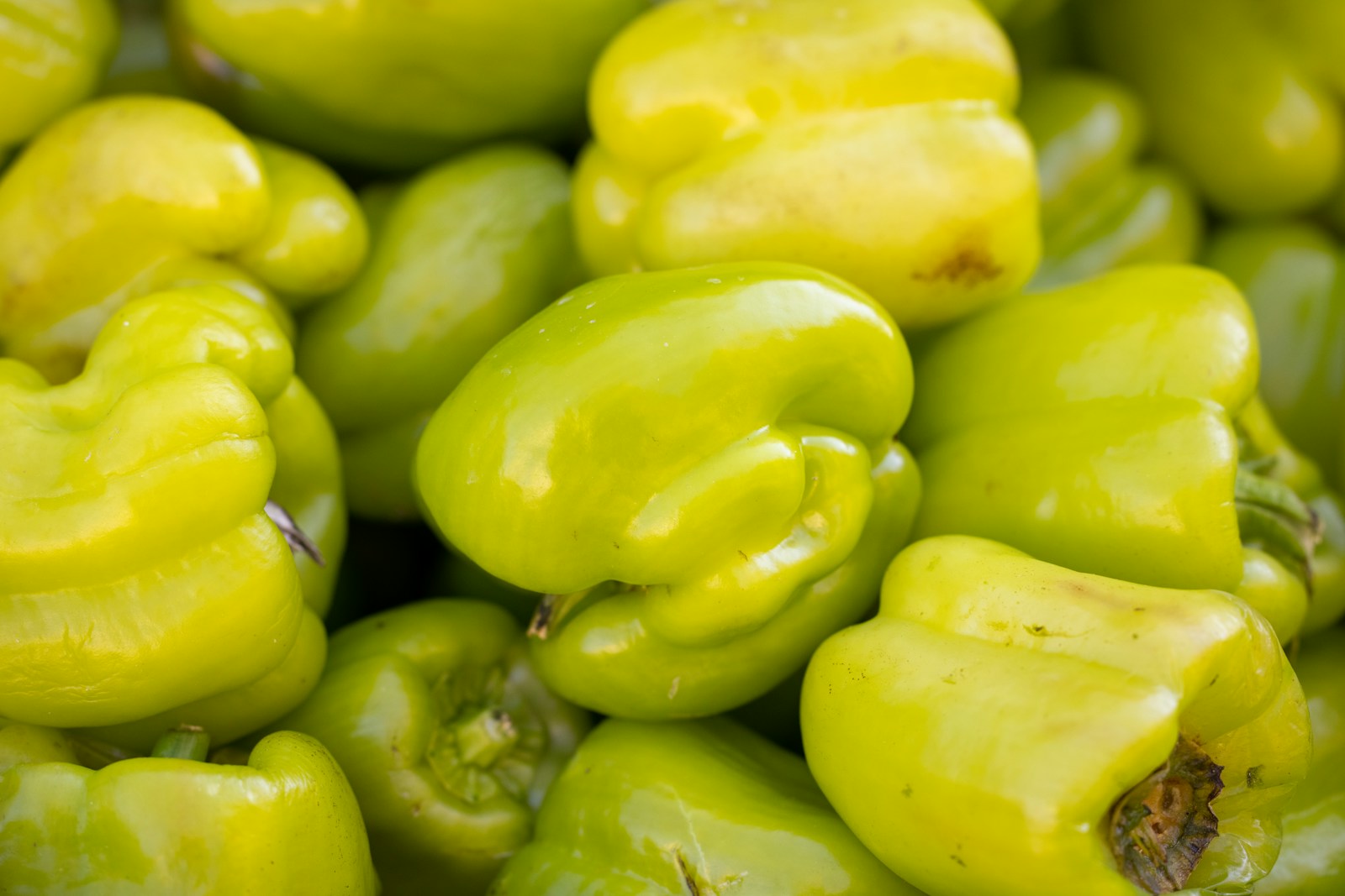 Fresh green chili peppers displayed at a market