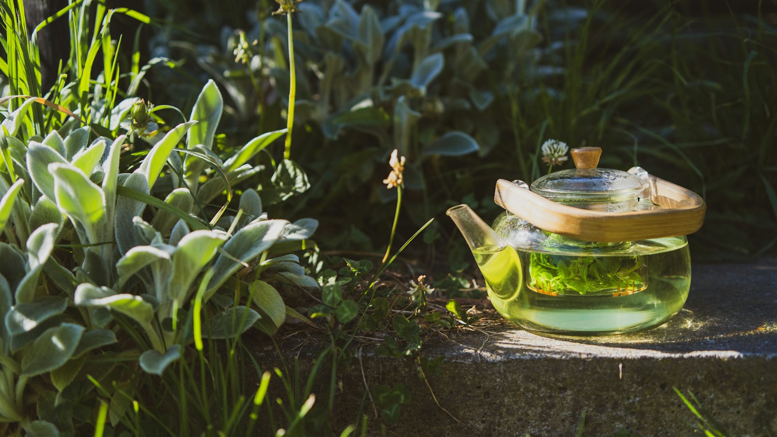 Glass teapot with a green herbal infusion outdoors