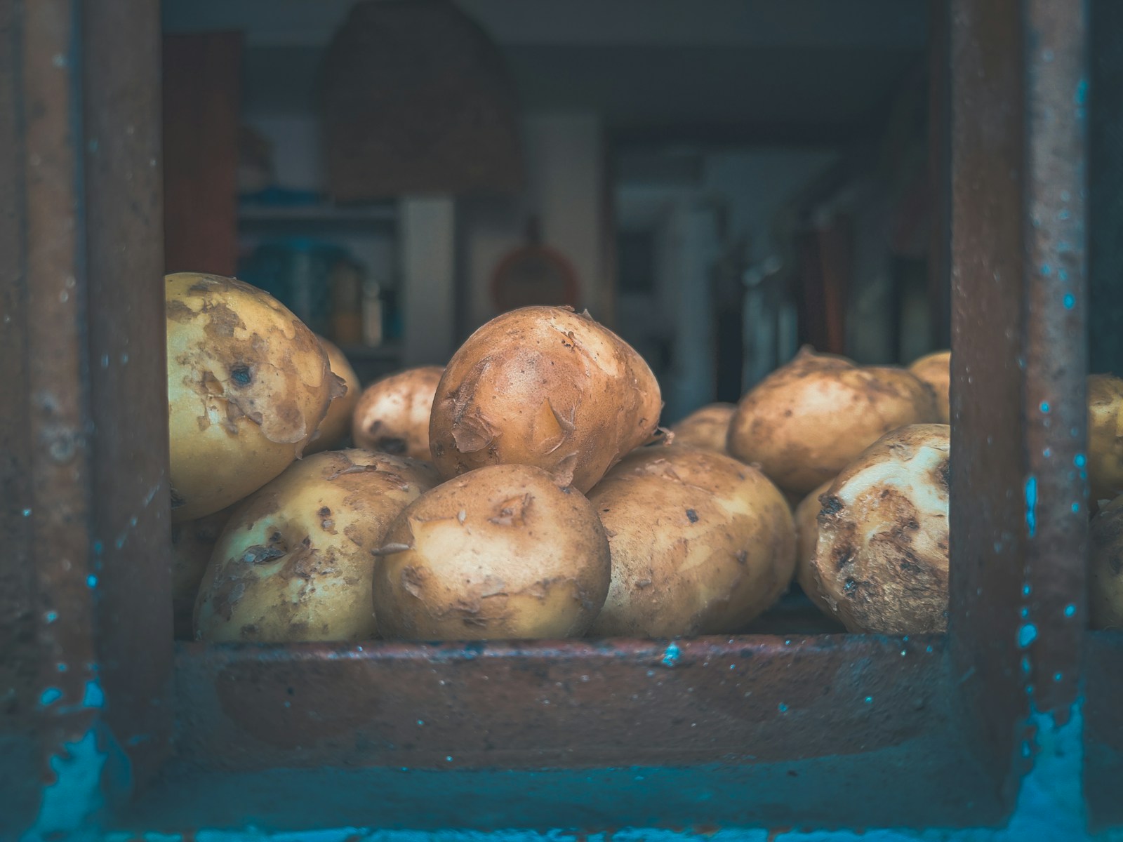 Golden potatoes ready to be washed and cooked