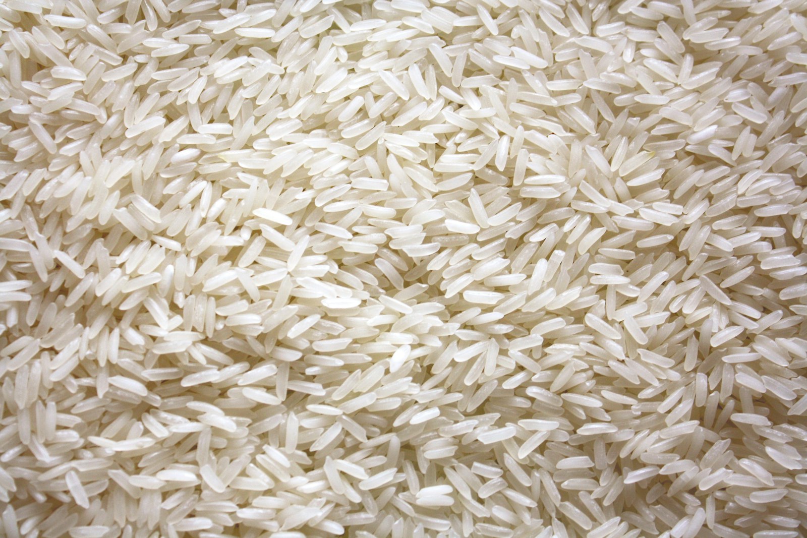 Close-up of naturally gluten-free rice grains