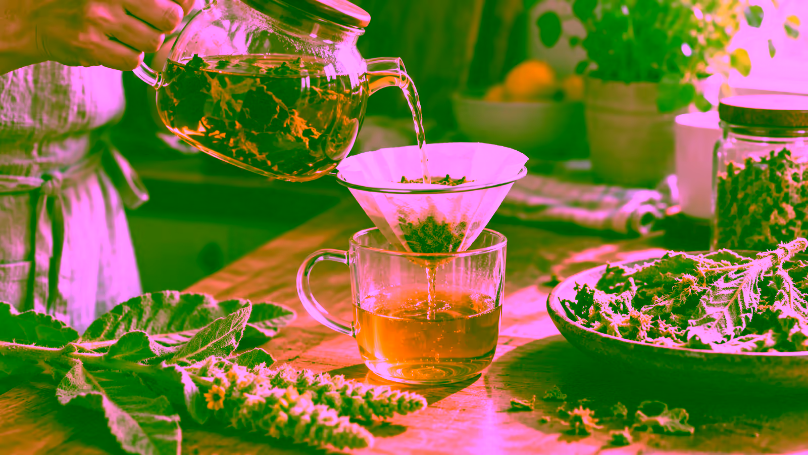 Mullein herbal tea being poured through a fine paper filter into a clear cup