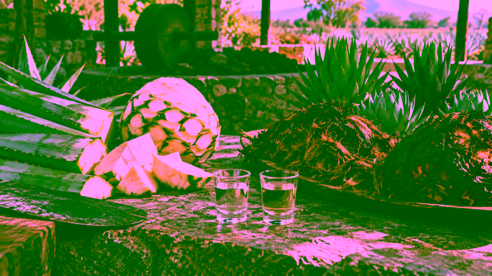Unbranded glasses of clear tequila and mezcal beside agave leaves, citrus, and clay serving dishes