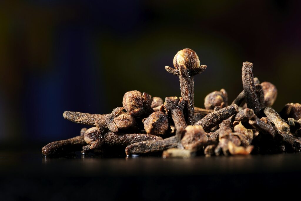 Close-up of whole dried clove flower buds