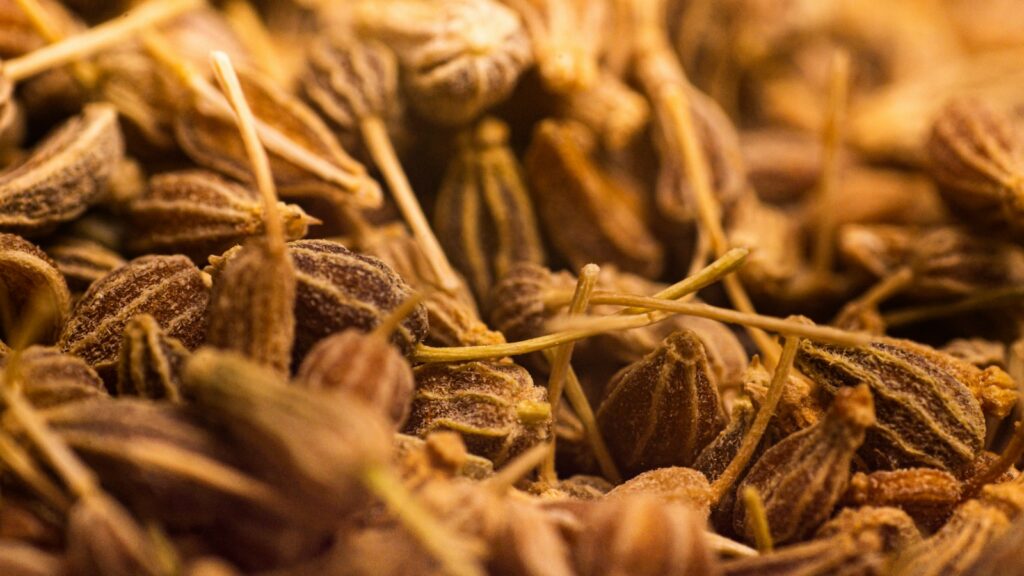 A close-up of small ridged anise seeds