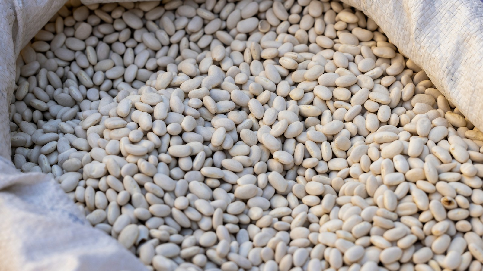 Dried white beans filling an open sack at a market