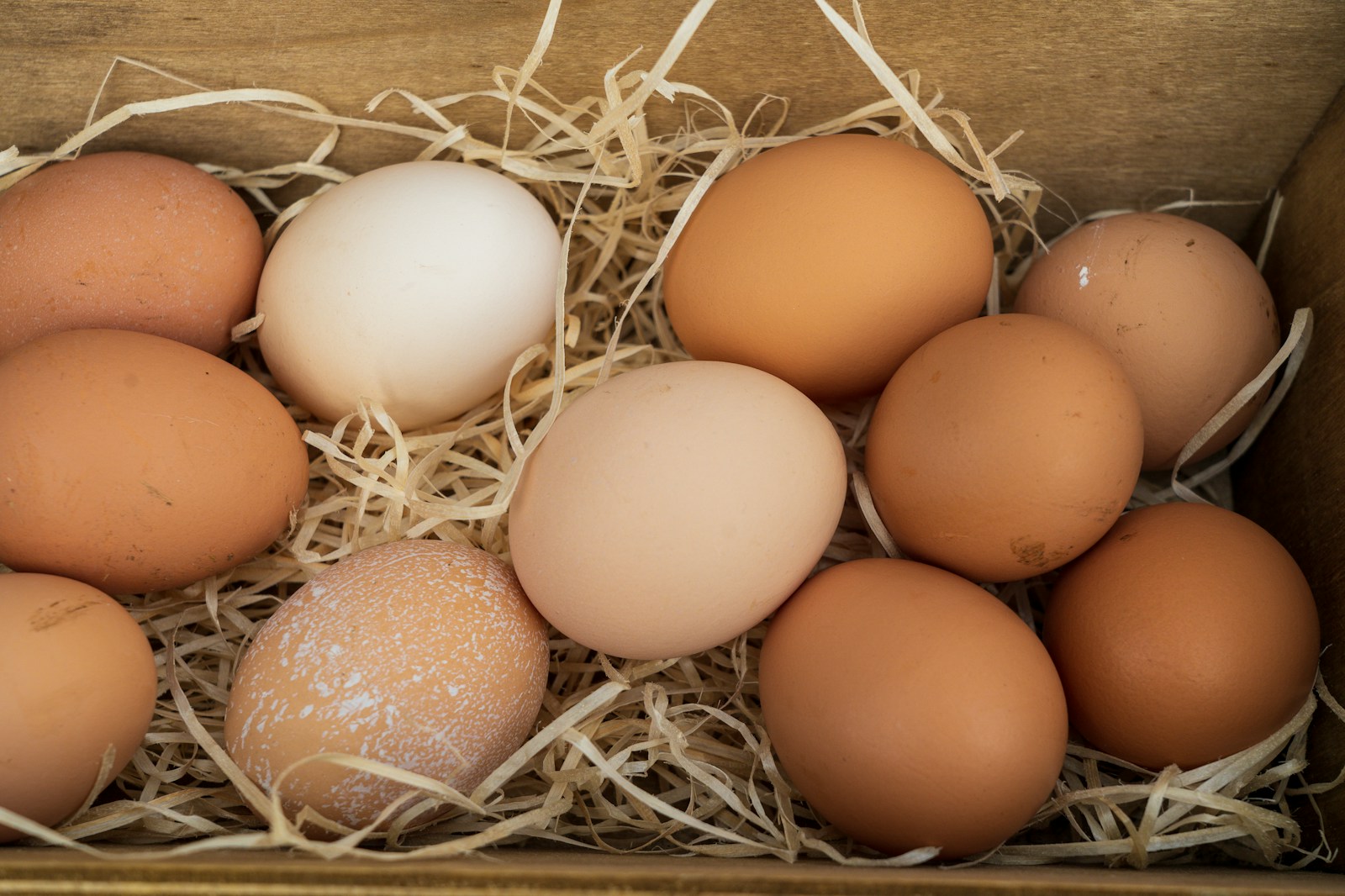 Brown and cream-colored eggs in a straw-lined carton