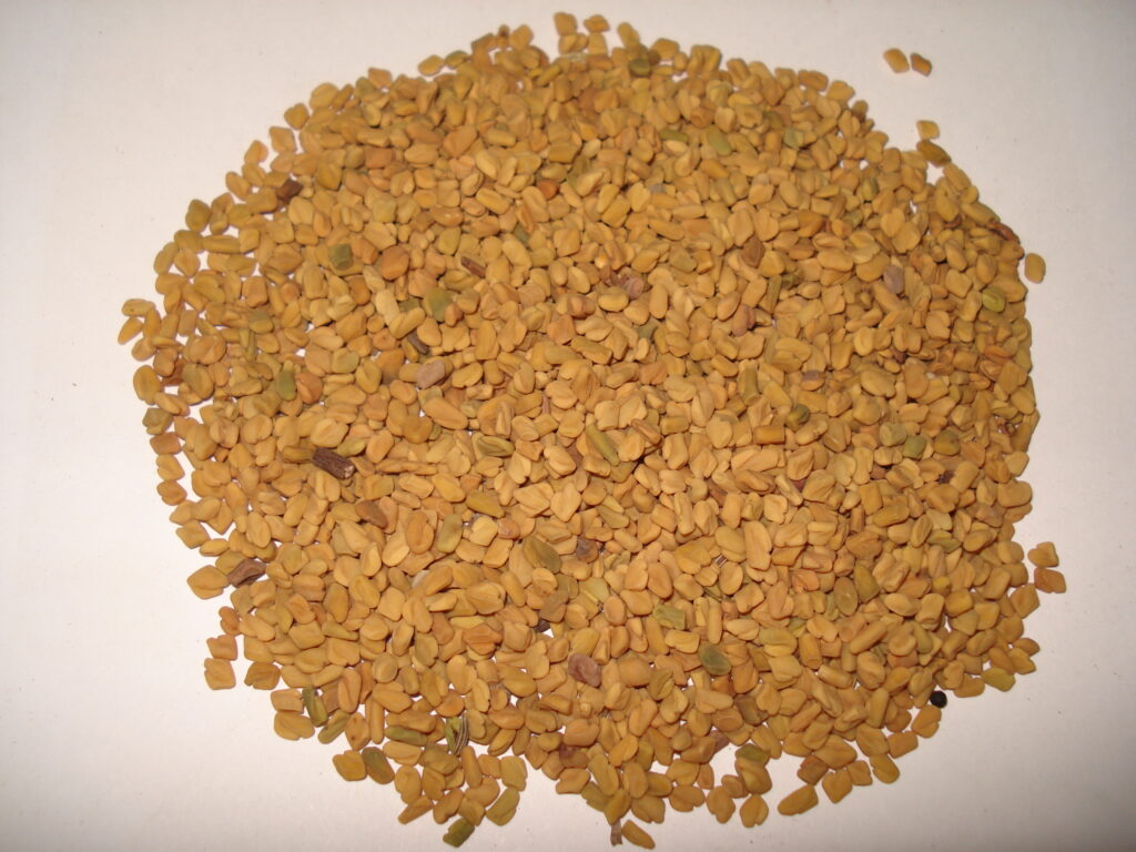 Golden-brown fenugreek seeds