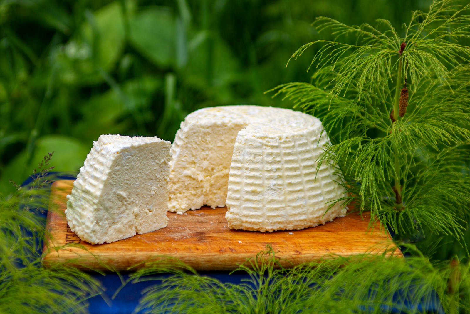 Fresh white cheese wheels and a wedge on a wooden board