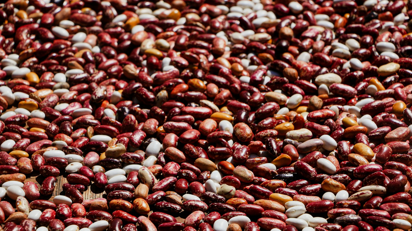 A mixture of dried red and white beans