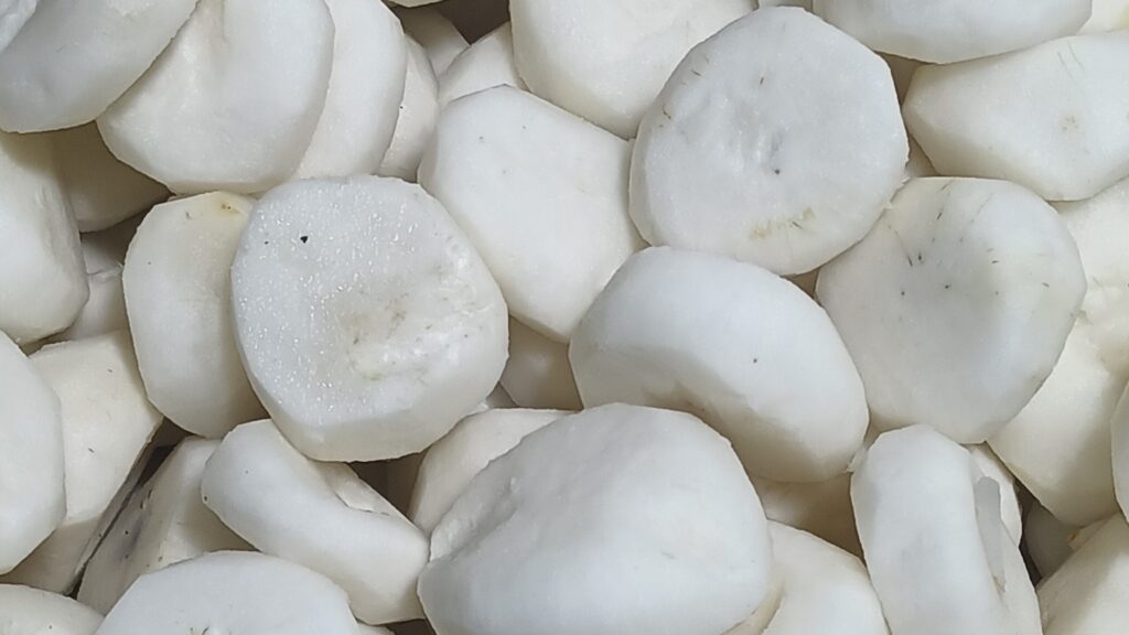Peeled Chinese water chestnuts showing their white flesh