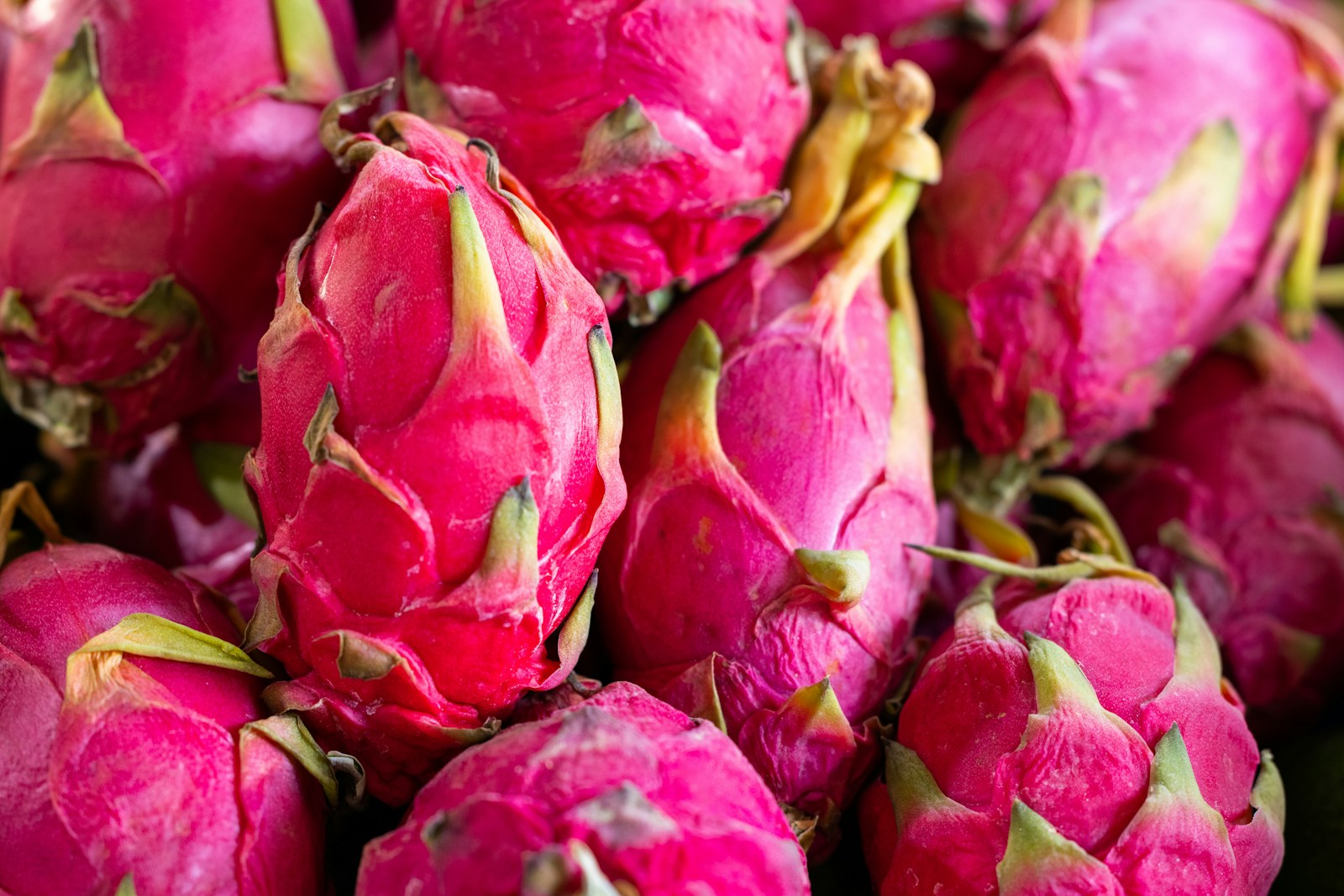 Pink-skinned dragon fruit arranged at a market