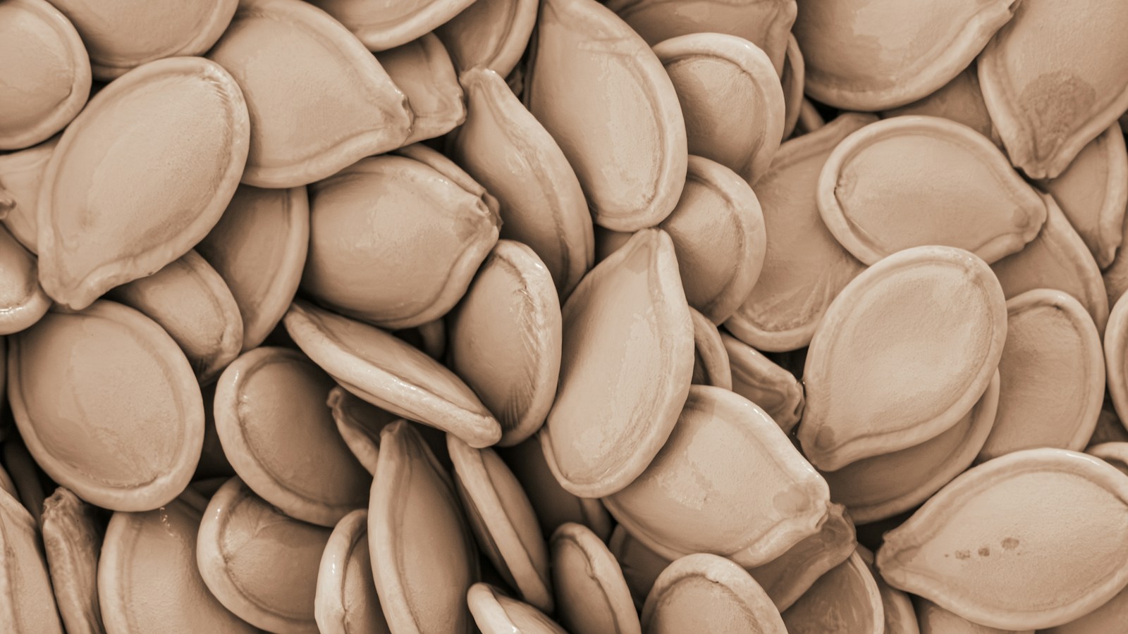 Pumpkin seeds in their pale outer shells