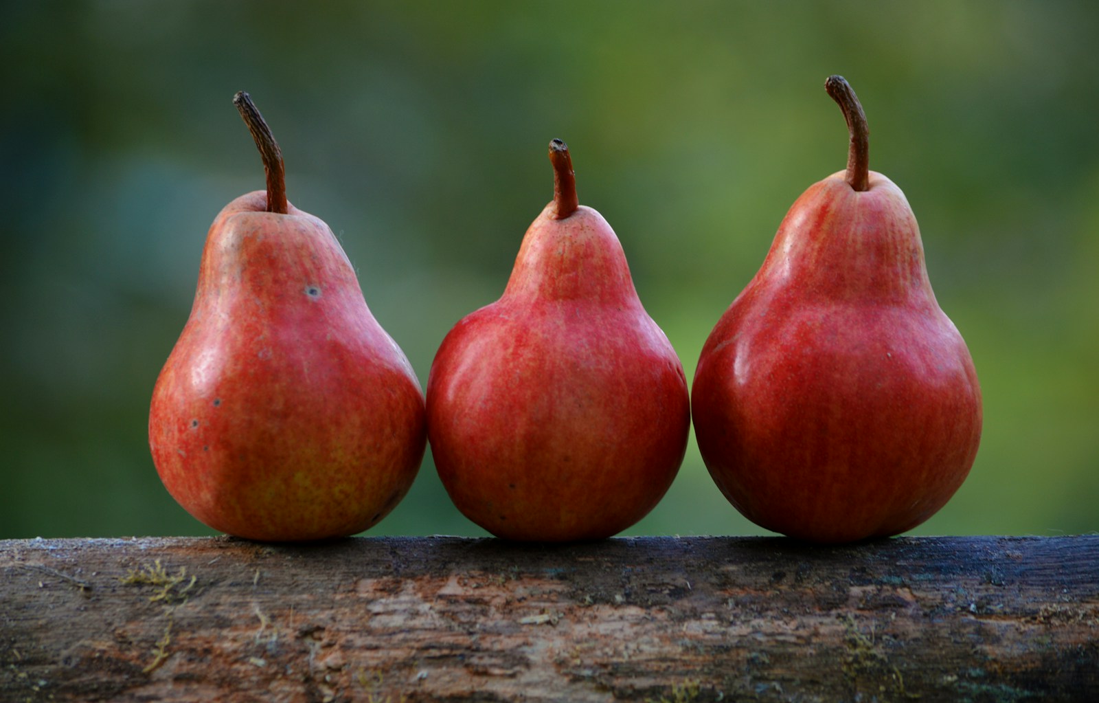 Three red pears with their stems attached