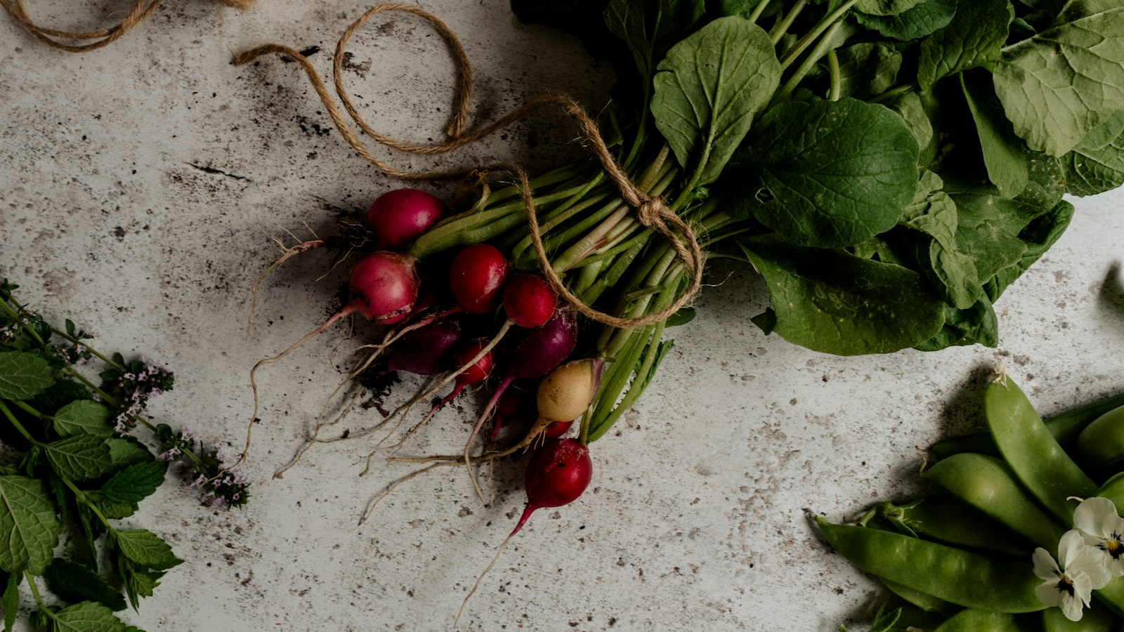 Fresh radishes, herbs, and flat snow pea pods on a work surface