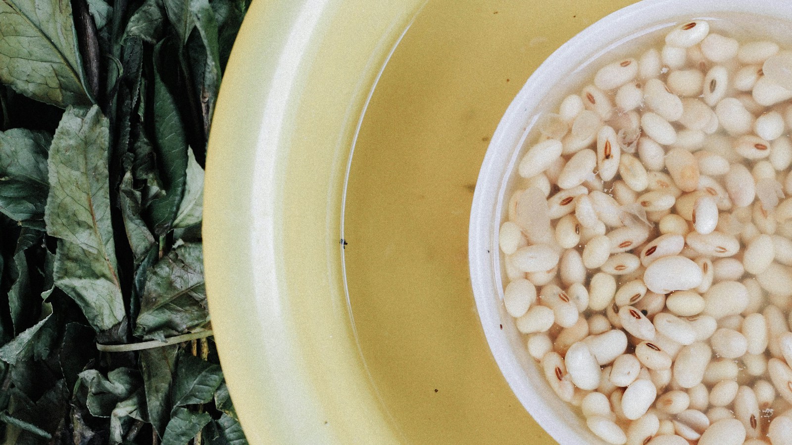 White beans soaking in water in a yellow bowl